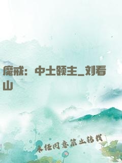 魔戒：中土领主