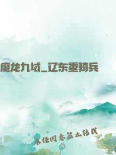 魔龙九域