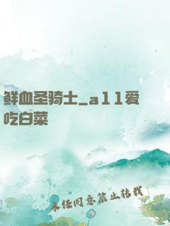 鲜血圣骑士