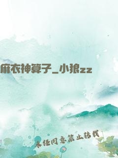 麻衣神算子