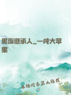 黑夜继承人