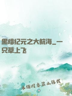 黑暗纪元之大航海