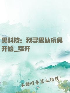 黑科技：我寻思从玩具开始