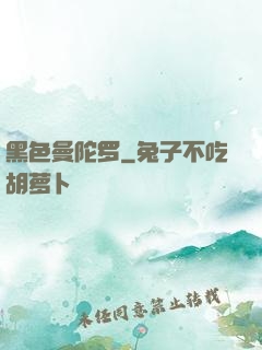 黑色曼陀罗