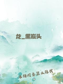 龙