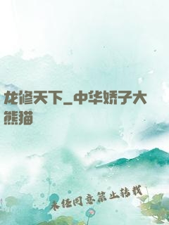 龙修天下
