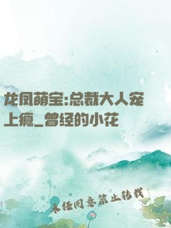 龙凤萌宝:总裁大人宠上瘾