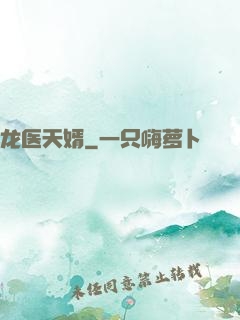 龙医天婿