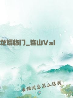 龙婿临门