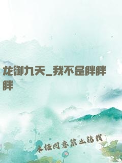 龙御九天