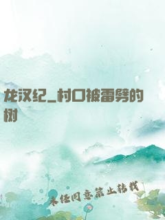 龙汉纪