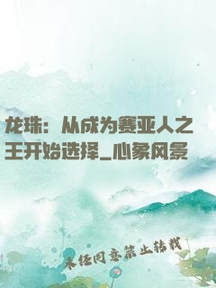 龙珠：从成为赛亚人之王开始选择