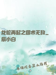 龙蛇再起之国术无敌