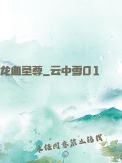 龙血圣尊