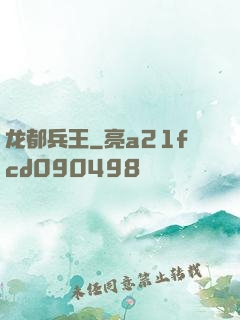 龙都兵王