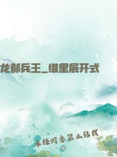 龙都兵王