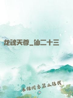 龙魂天尊
