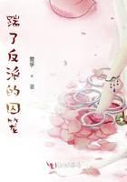 踹了反派的囚笼