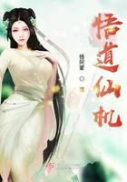 悟道仙机