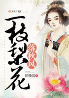 一枝梨花落秋风