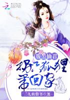 腹黑仙君：拐只狐狸带回家