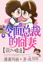 误入婚途：冷面总裁的囧妻