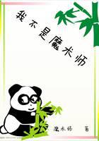我不是魔术师