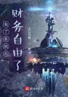 有了系统后财务自由了