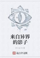 来自异界的影子