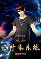 超级格斗家系统