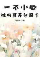 一不小心被玛丽苏包围了