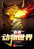 直播动物世界