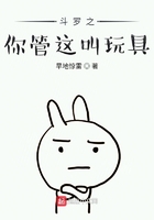 斗罗之你管这叫玩具