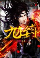 九龙至尊