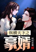 纵横天下之豪婿