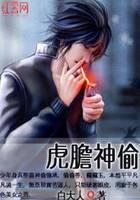 虎胆神偷
