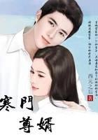 寒门尊婿