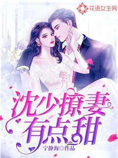 沈少撩妻有点甜