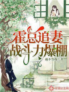 霍总追妻战斗力爆棚