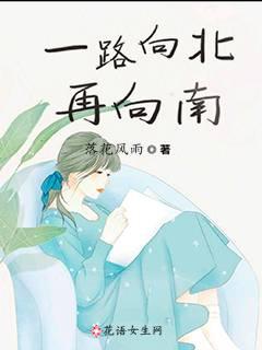 一路向北再向南