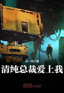 清纯总裁爱上我