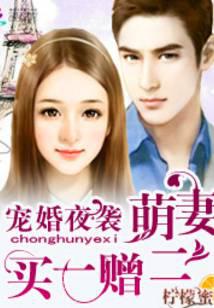 宠婚夜袭：萌妻买一赠二