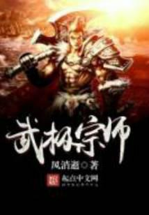 武极宗师