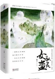 驭灵女盗