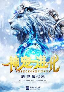 神宠进化