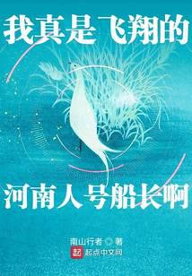 我真是飞翔的河南人号船长啊