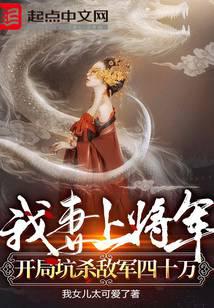 我妻上将军，开局坑杀敌军四十万