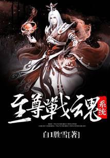 至尊战魂系统