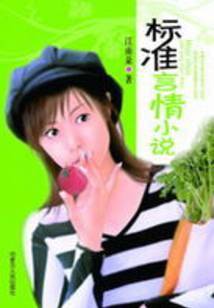 标准言情小说