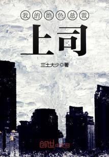 我的绝色总裁上司